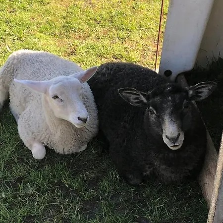 Bb-vadehavet Til 6 Personer Ved Nationalpark Vadehavet Daire