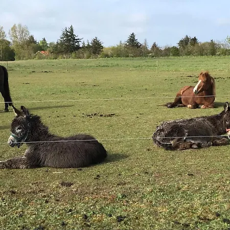 Appartement Bb-vadehavet Til 6 Personer Ved Nationalpark Vadehavet *