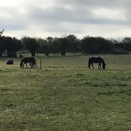 Bb-vadehavet Til 6 Personer Ved Nationalpark Vadehavet
