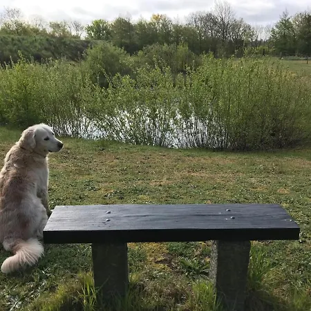 Daire Bb-vadehavet Til 6 Personer Ved Nationalpark Vadehavet Ribe